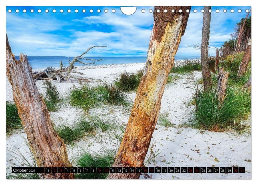 InsideView 2