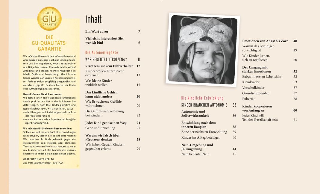 InsideView 1