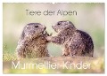 Tiere der Alpen - Murmeltier-Kinder (Wandkalender 2025 DIN A2 quer), CALVENDO Monatskalender - Judith Kuhn