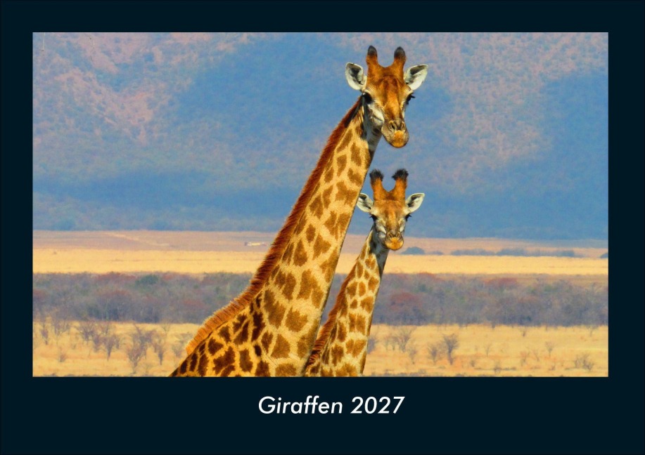 Giraffen 2027 Fotokalender DIN A4 - Tobias Schmitt, Kevin Heber