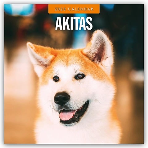 Akitas - Akita 2025 - 16-Monatskalender - 