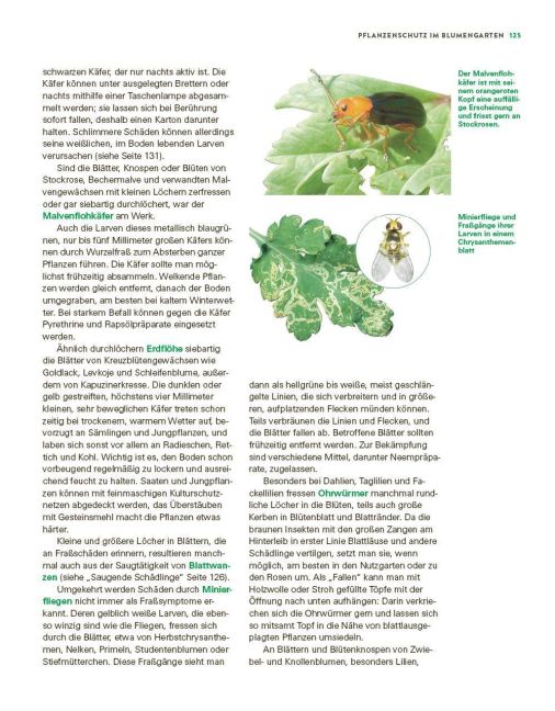 InsideView 11