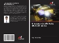 Cover-Bild zum Titel 'Uno sguardo all'effetto elettrodinamico' von 'Sujit Kumbhar'
