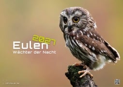 Cover-Bild zum Titel 'Eulen - Wächter der Nacht - 2027 - Kalender DIN A3' von ''