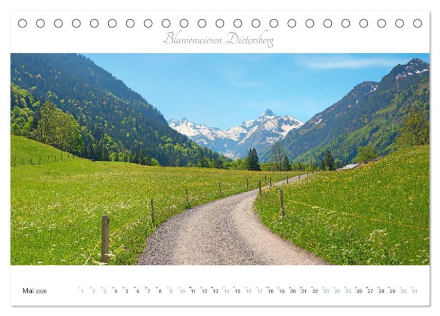 InsideView 10