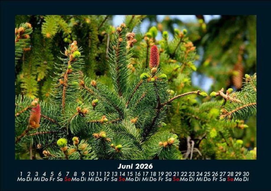 InsideView 10