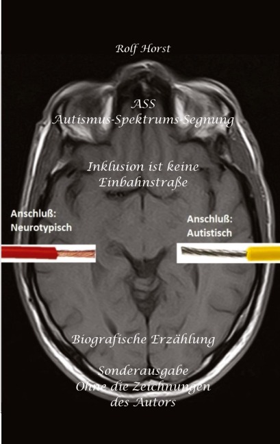 ASS Autismus-Spektrums-Segnung - Inklusion ist keine Einbahnstraße: hochfunktionaler Autismus, Mobbing, Trauma, Sucht, Häusliche Gewalt, Psychotherapie, Umzug, Inklusion, Katholische Kirche, Zen - Rolf Horst