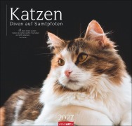 Cover-Bild zum Titel 'Katzen - Diven auf Samtpfoten Kalender 2027 - Diven auf Samtpfoten' von ''