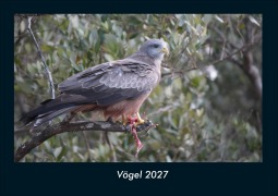 Cover-Bild zum Titel 'Vögel 2027 Fotokalender DIN A4' von 'Tobias Schmitt, Kevin Heber'