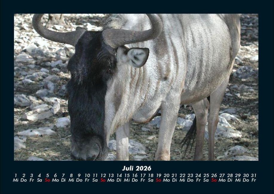 InsideView 11