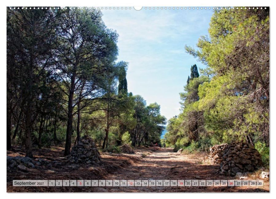 InsideView 13