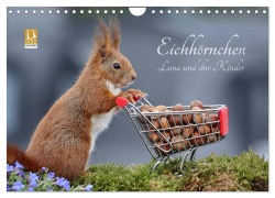 Cover-Bild zum Titel 'Eichhörnchen Luna und ihre Kinder (Wandkalender 2026 DIN A4 quer), CALVENDO Monatskalender' von 'Tine Meier'