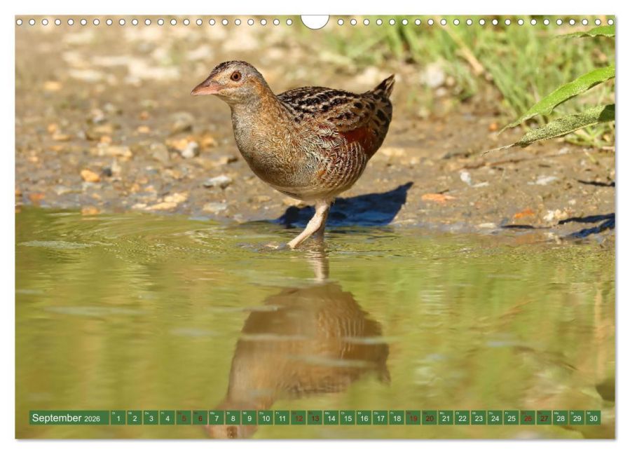 InsideView 14