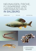 Cover-Bild zum Titel 'Neunaugen, Fische, Flusskrebse und Großmuscheln in Salzburg' von 'Martin Weinländer, Andreas Unterweger, Renate Schrempf'