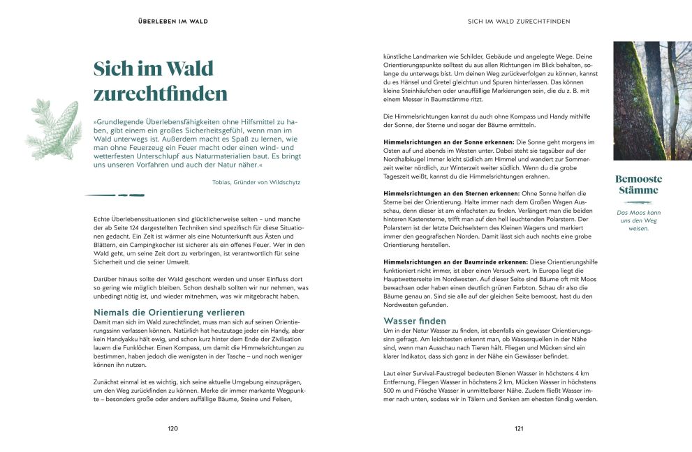 InsideView 6