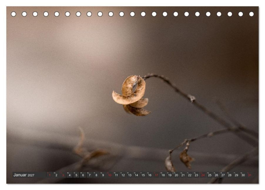 InsideView 6