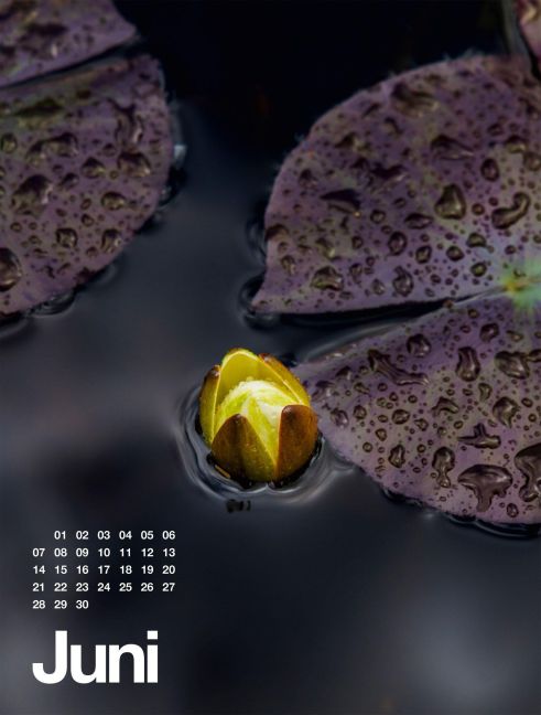 InsideView 6