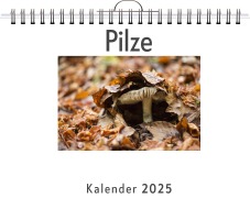 Cover-Bild zum Titel 'Pilze' von 'Lina Weber'