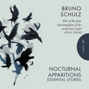 Cover-Bild zum Titel 'Nocturnal Apparitions' von 'Bruno Schulz'