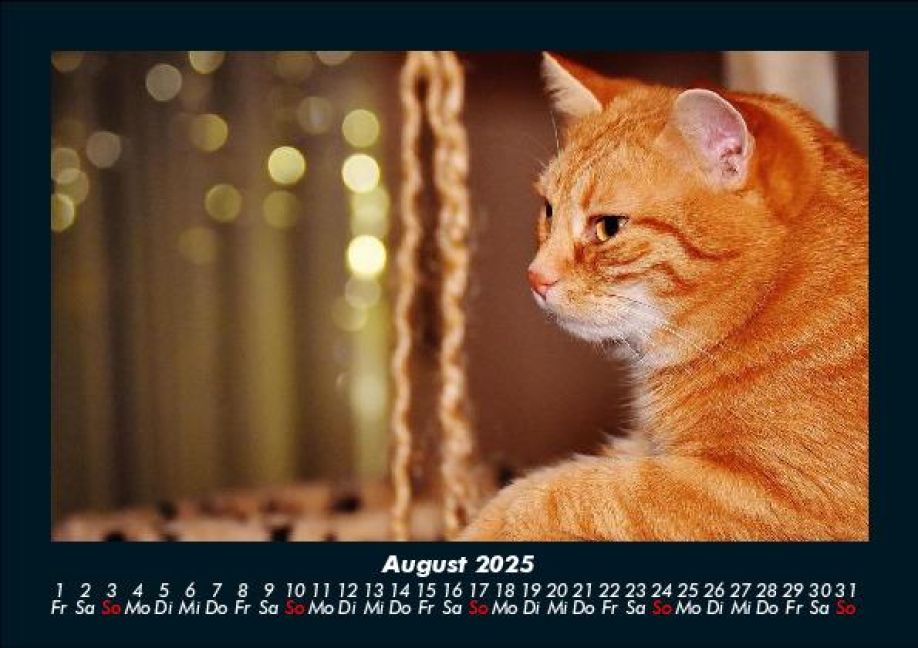 InsideView 12