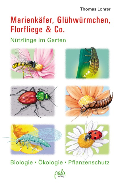 Marienkäfer, Glühwürmchen, Florfliege & Co. - Thomas Lohrer