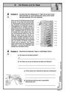InsideView 4