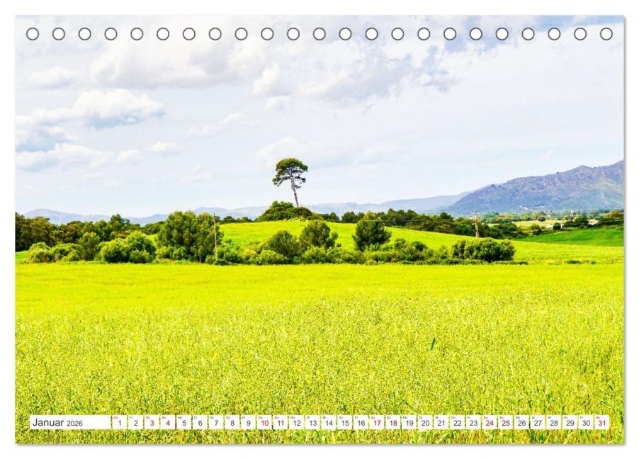 InsideView 6