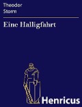 Cover-Bild zum Titel 'Eine Halligfahrt' von 'Theodor Storm'