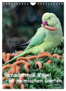 Cover-Bild zum Titel 'Bezaubernde Vögel im heimischen Garten (Wandkalender 2026 DIN A4 hoch), CALVENDO Monatskalender' von 'Dieter Wilczek'