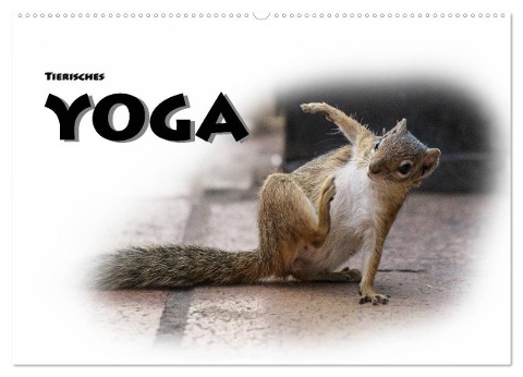 Tierisches Yoga (Wandkalender 2025 DIN A2 quer), CALVENDO Monatskalender - Robert Styppa