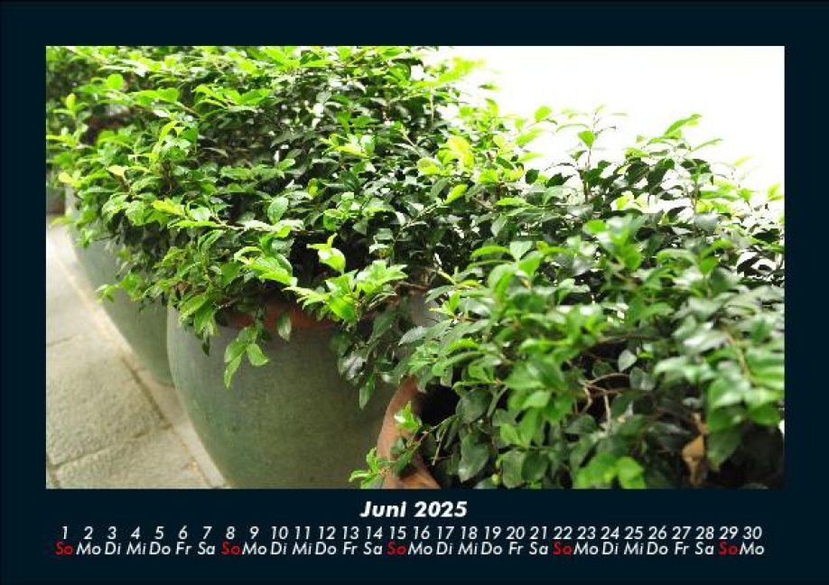 InsideView 10
