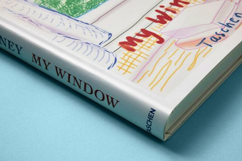 InsideView 20