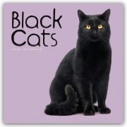Black Cats - Schwarze Katzen 2026 - Wand-Kalender - Carousel Calendar