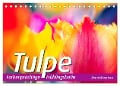 TULPE Farbenprächtige Frühlingsbotin (Tischkalender 2024 DIN A5 quer), CALVENDO Monatskalender - Bernd Maertens