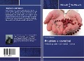 Cover-Bild zum Titel 'Preghiere e devozioni' von 'Rosario Surace'