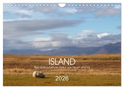 Cover-Bild zum Titel 'ISLAND Atemberaubende Natur aus Feuer und Eis (Wandkalender 2026 DIN A4 quer), CALVENDO Monatskalender' von 'Denise Graupner'