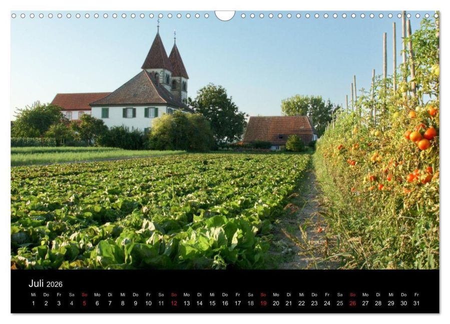 InsideView 12