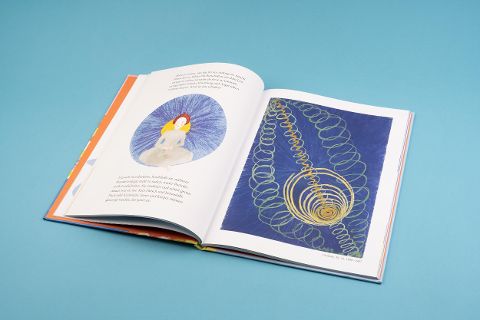 InsideView 8