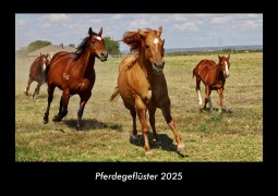 Cover-Bild zum Titel 'Pferdegeflüster 2025 Fotokalender DIN A3' von 'Tobias Becker'