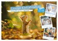 Lustige Eichhörnchen (Wandkalender 2025 DIN A2 quer), CALVENDO Monatskalender - Steffen Gierok-Latniak