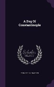 Cover-Bild zum Titel 'A Dog Of Constantinople' von 'Izora Cecilia Chandler'