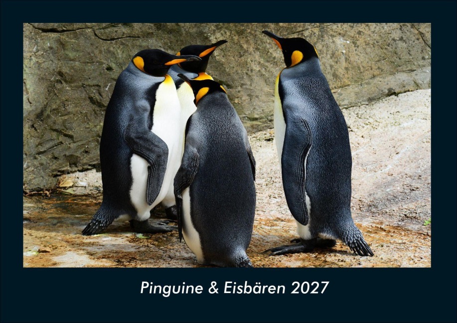 Pinguine & Eisbären 2027 Fotokalender DIN A4 - Tobias Schmitt, Kevin Heber