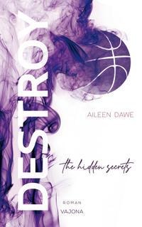 DESTROY the hidden secrets (DESTROY-Reihe 1) - Aileen Dawe
