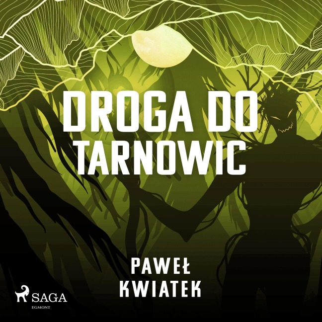 Droga do Tarnowic - Pawe¿ Kwiatek