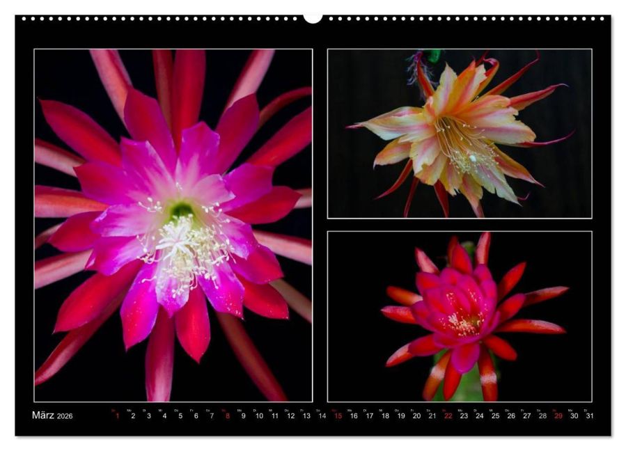 InsideView 8
