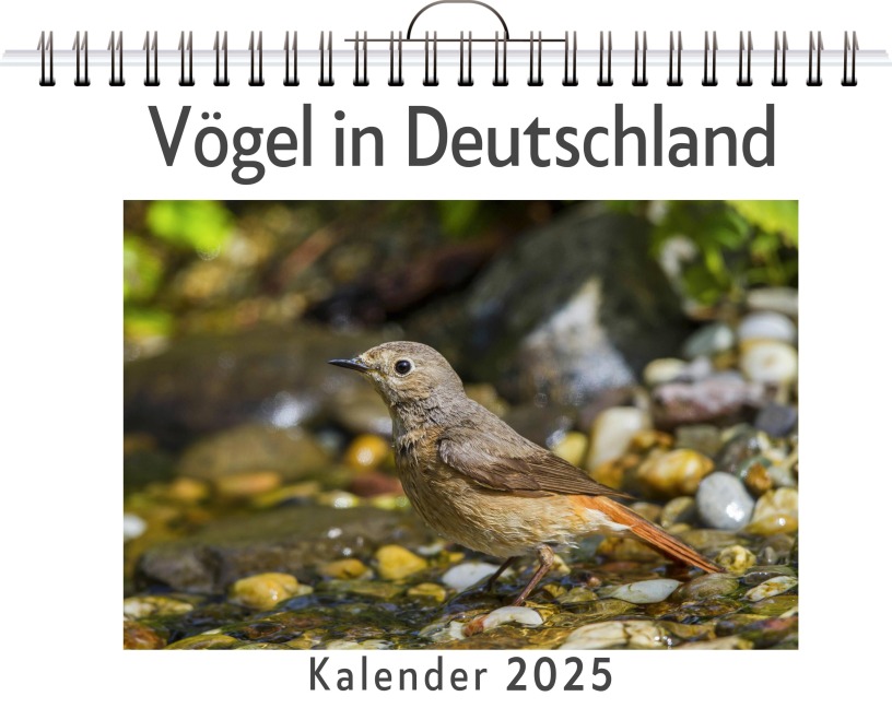 Vögel in Deutschland - Max Vogel