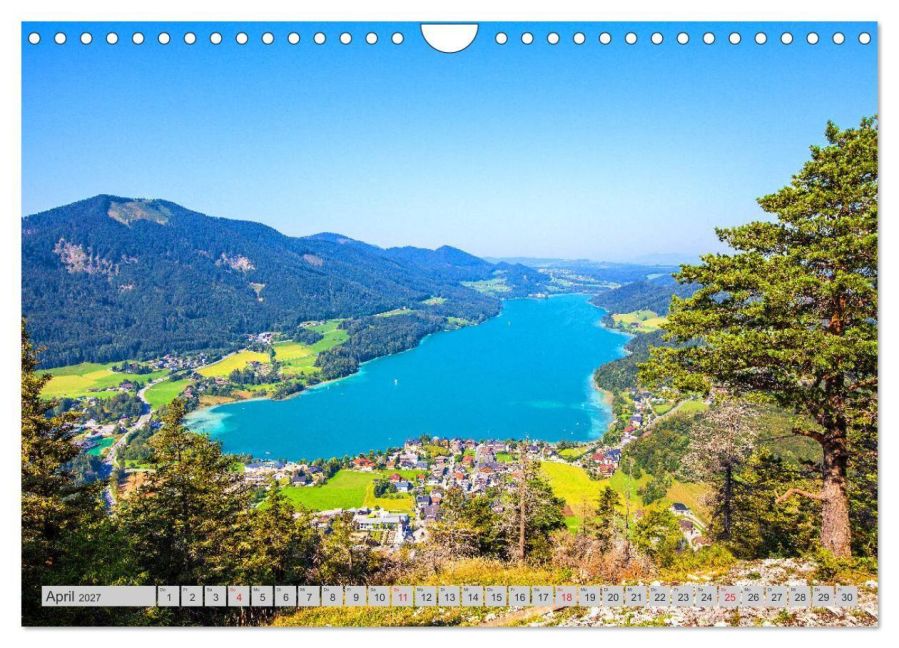 InsideView 9