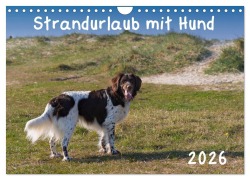 Cover-Bild zum Titel 'Strandurlaub mit Hund (Wandkalender 2026 DIN A4 quer), CALVENDO Monatskalender' von 'Heidi Bollich'