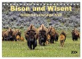 Bison und Wisent - Riesen mit unbändiger Kraft (Tischkalender 2024 DIN A5 quer), CALVENDO Monatskalender - Peter Roder