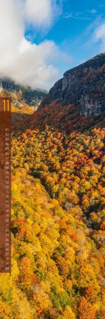 InsideView 11
